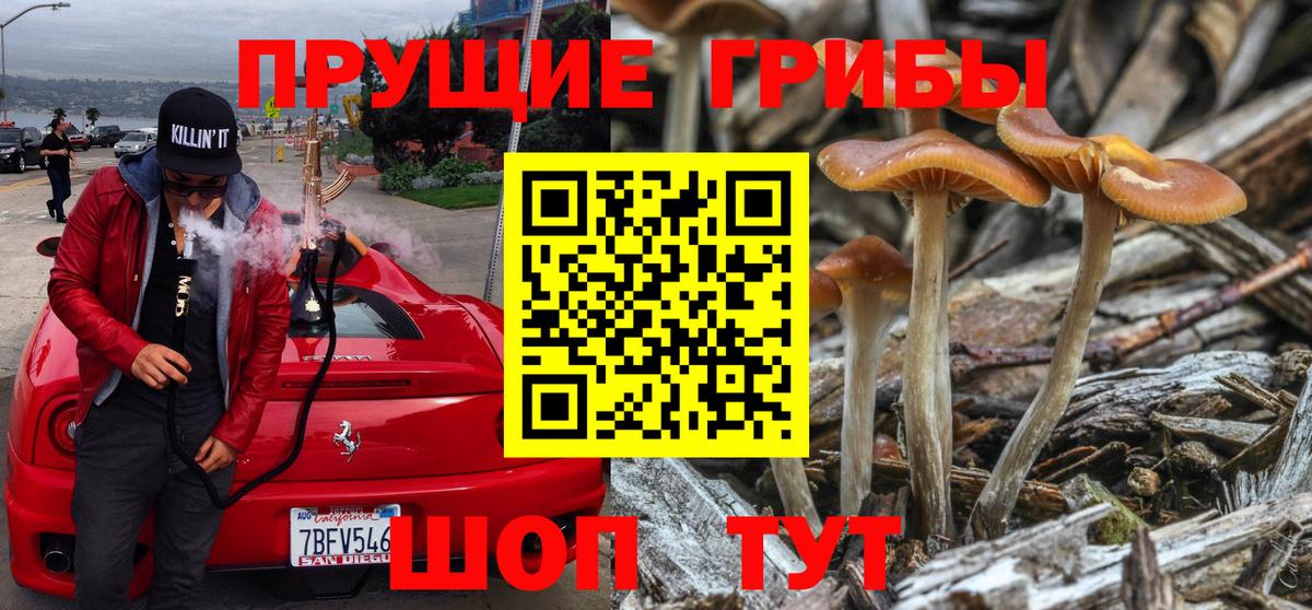 купить наркоту  Вход с VPN  Лиски  Галлюциногенные грибы Psilocybe 